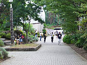 �ΖL���ȐM�B���ۉ��y��