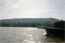 �Y��ȃ��C����̒���