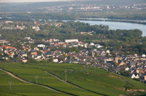 �j�[�_�[���@���g�R���琞���ʂɍL����u�h�E����]��