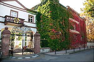 �A���L�T���_�[�Ђ̗���ɂ���N�b�t�@�[�x���N�̃[�N�g�i�X�p�[�N�����O���C���j�����������w�B�����̃I�[�i�[�̓t�B���b�v�В��Ɨc������Ƃ�