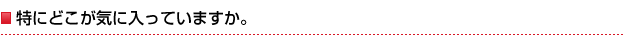 特にどこが気に入っていますか。