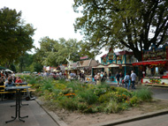 �}�C���c�Y���C���}�[�P�b�g���J�Ò�