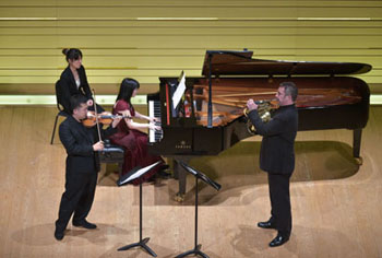 �V���e�t�@���E�h�[����