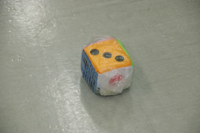 �T�C�R���ʐ^