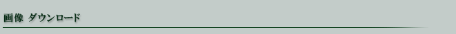 画像ダウンロード